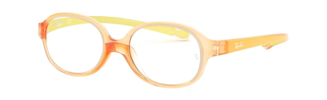 Оправа RAY BAN 1587